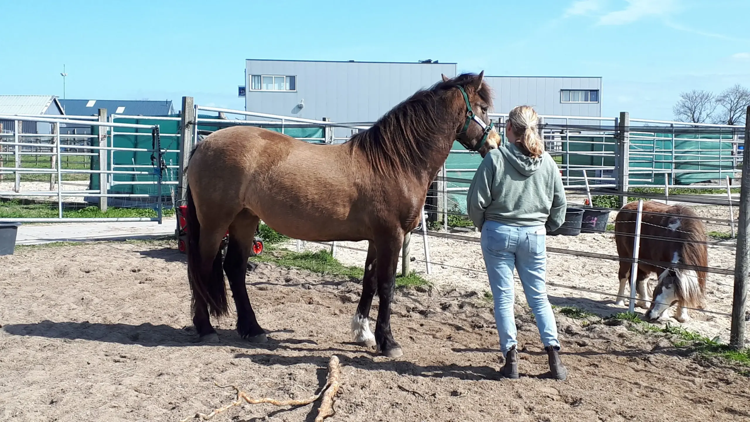 Coachtraject voor jongeren