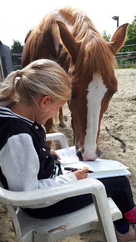 Anders leren met paarden