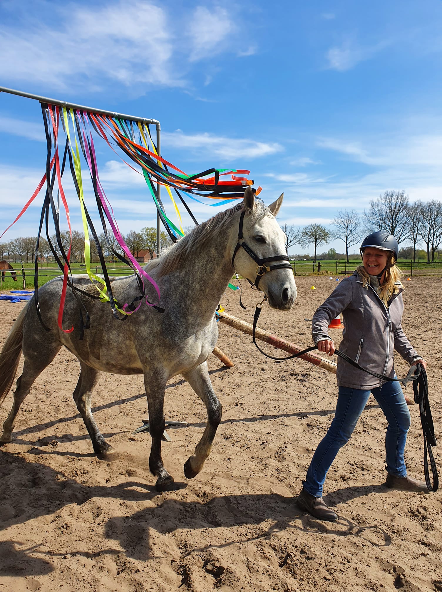 Schriktraining paard
